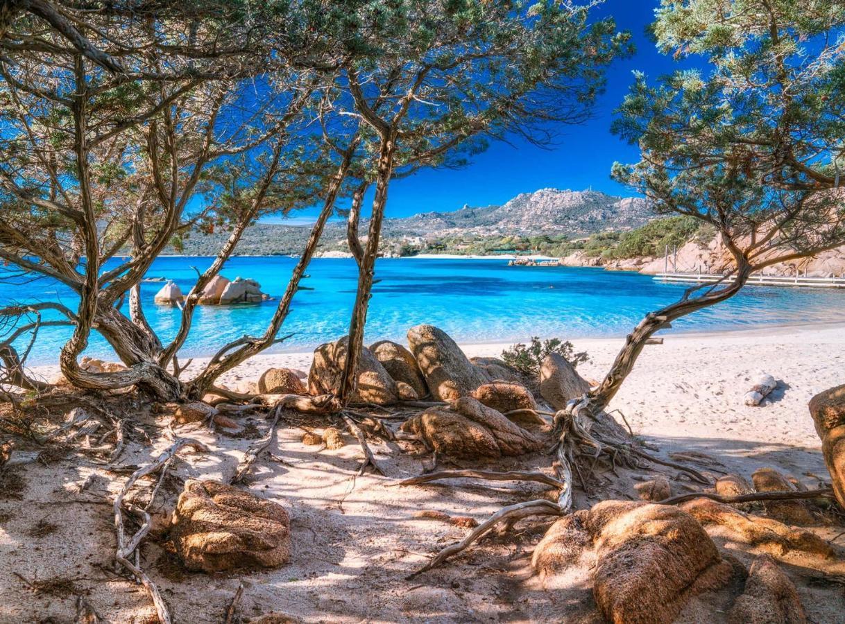 Sardinia Family Villas - Cannigione Beach Apartments Eksteriør billede